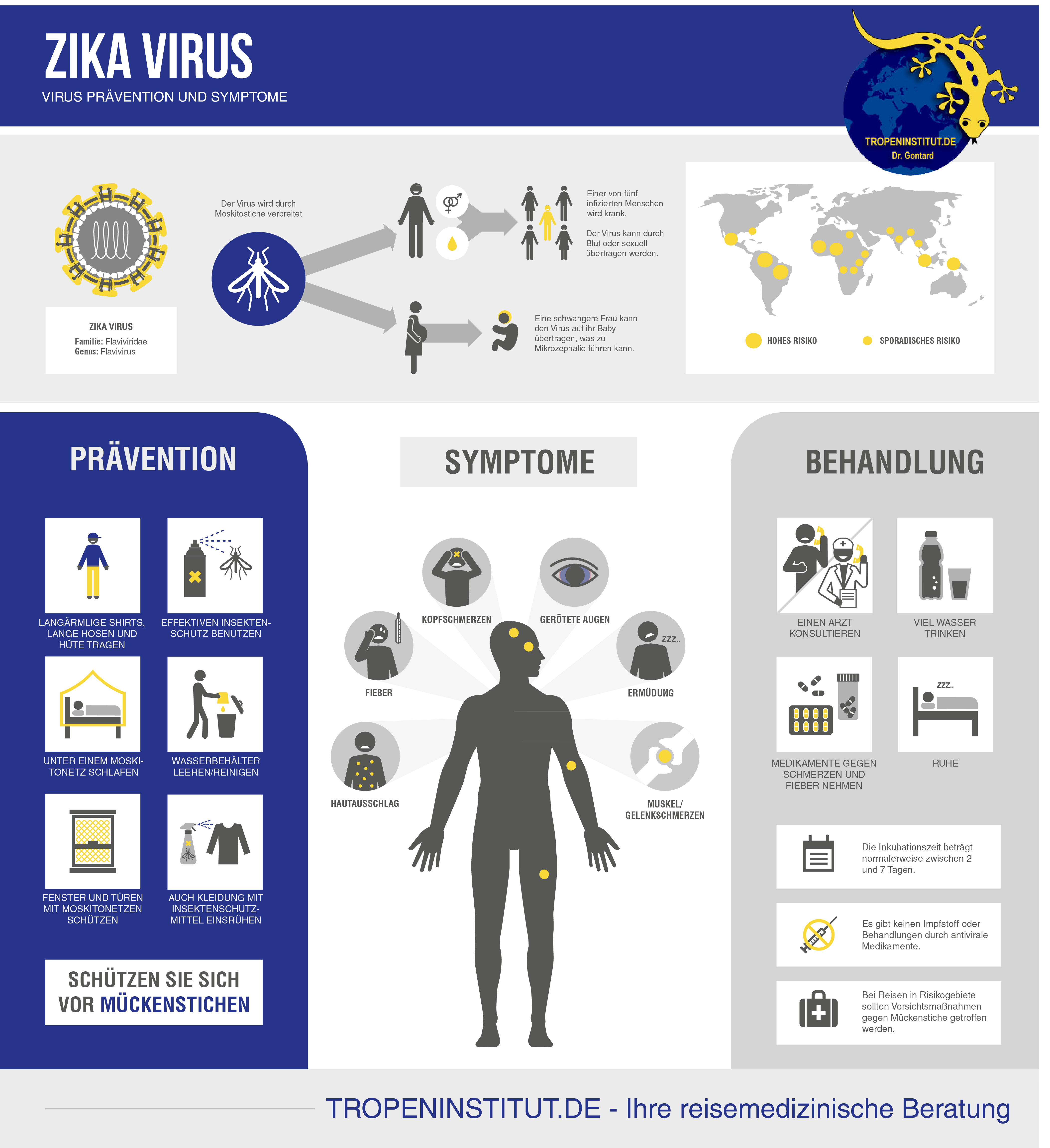 ZIKA Virus Infografik