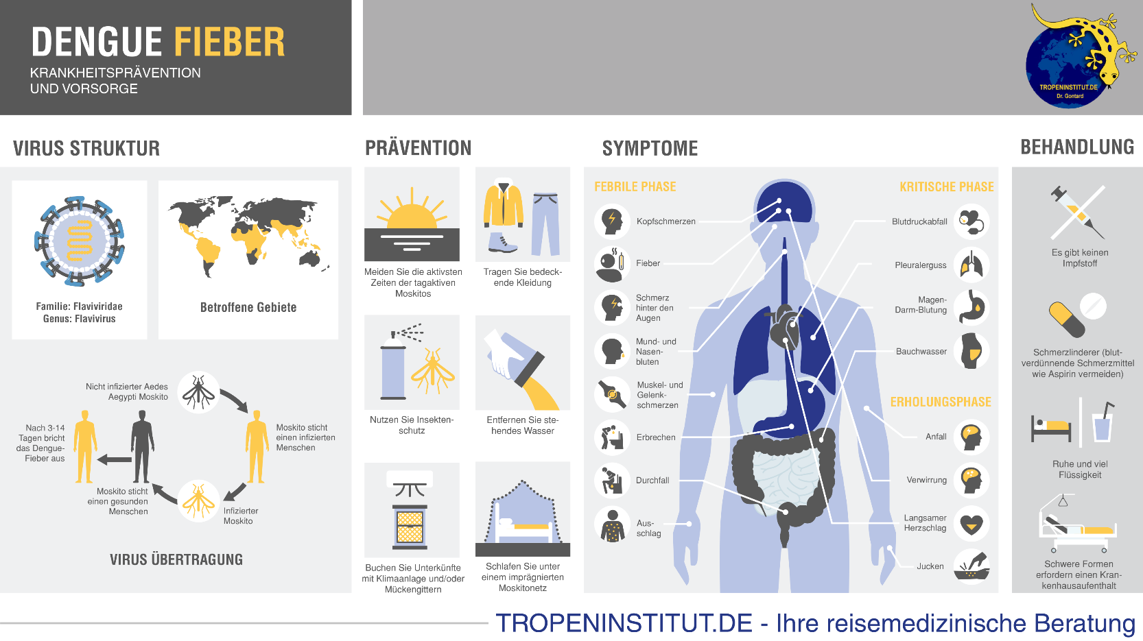 Dengue Infografik - Symptome, Vorkommen, Infektionsweg und Prävention