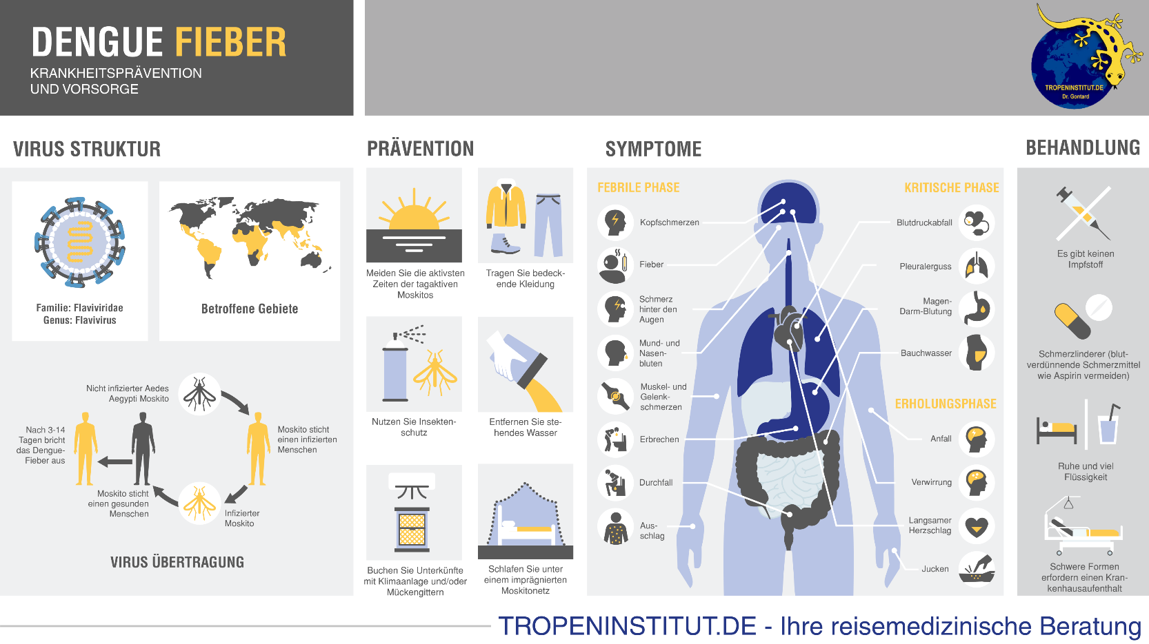 Ist Dengue ansteckend?