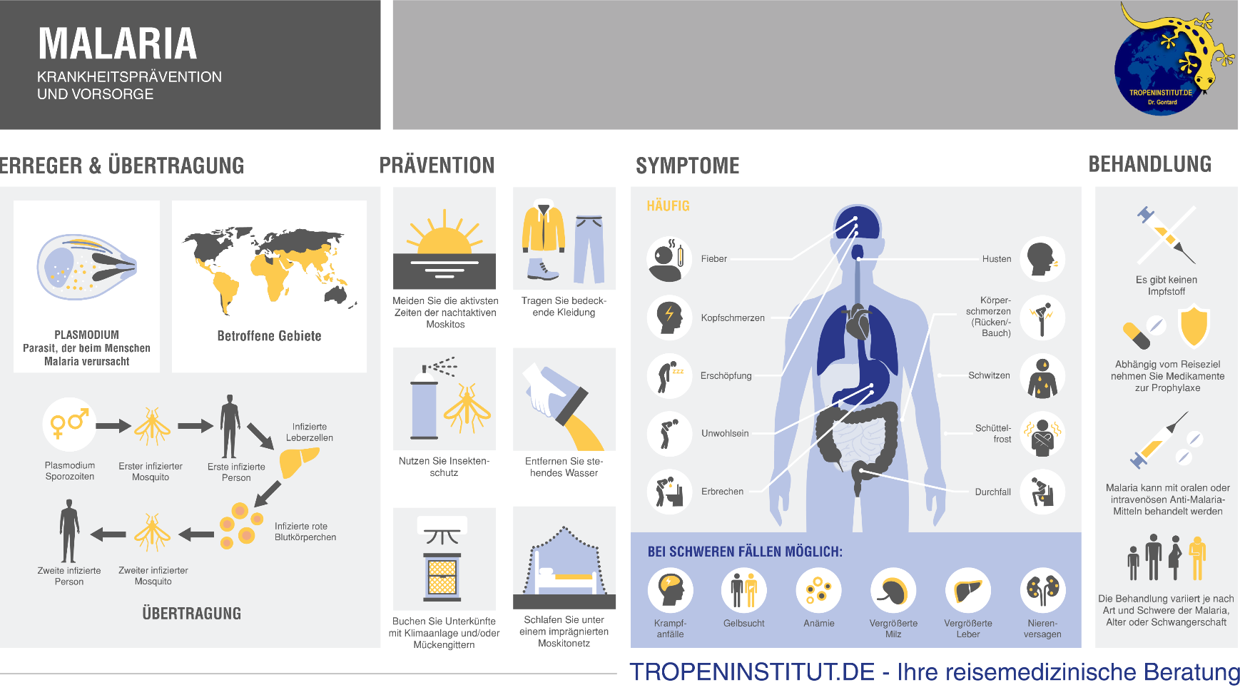 Malaria Infografik