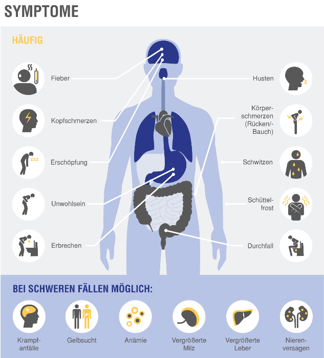 Malaria Symptome Infografik