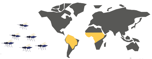 Gelbfieber Verbreitung Karte Welt