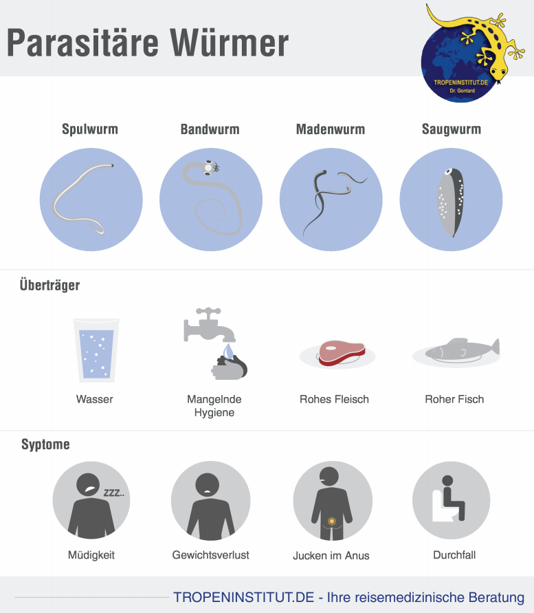 Würmer Parasiten