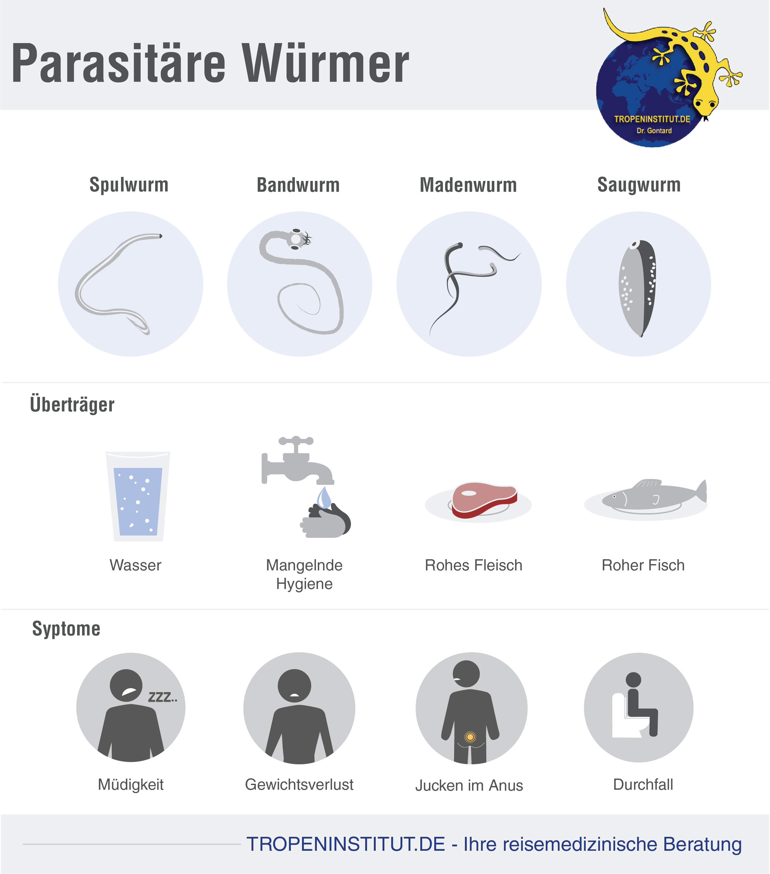 Tropeninstitut Krankeiten A Z Wurmerkrankung Infografik