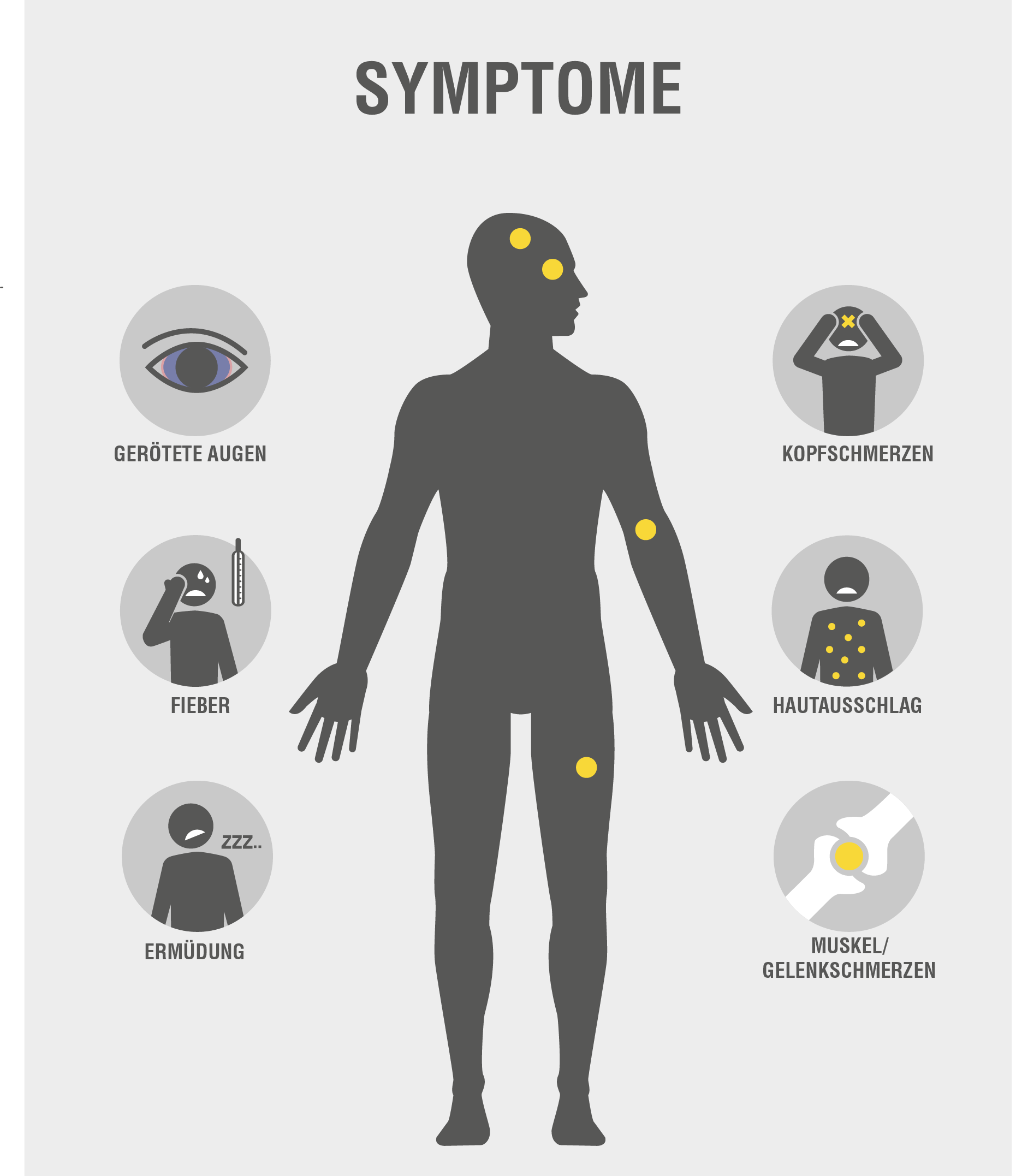 ZIKA Virus Symptome Infografik