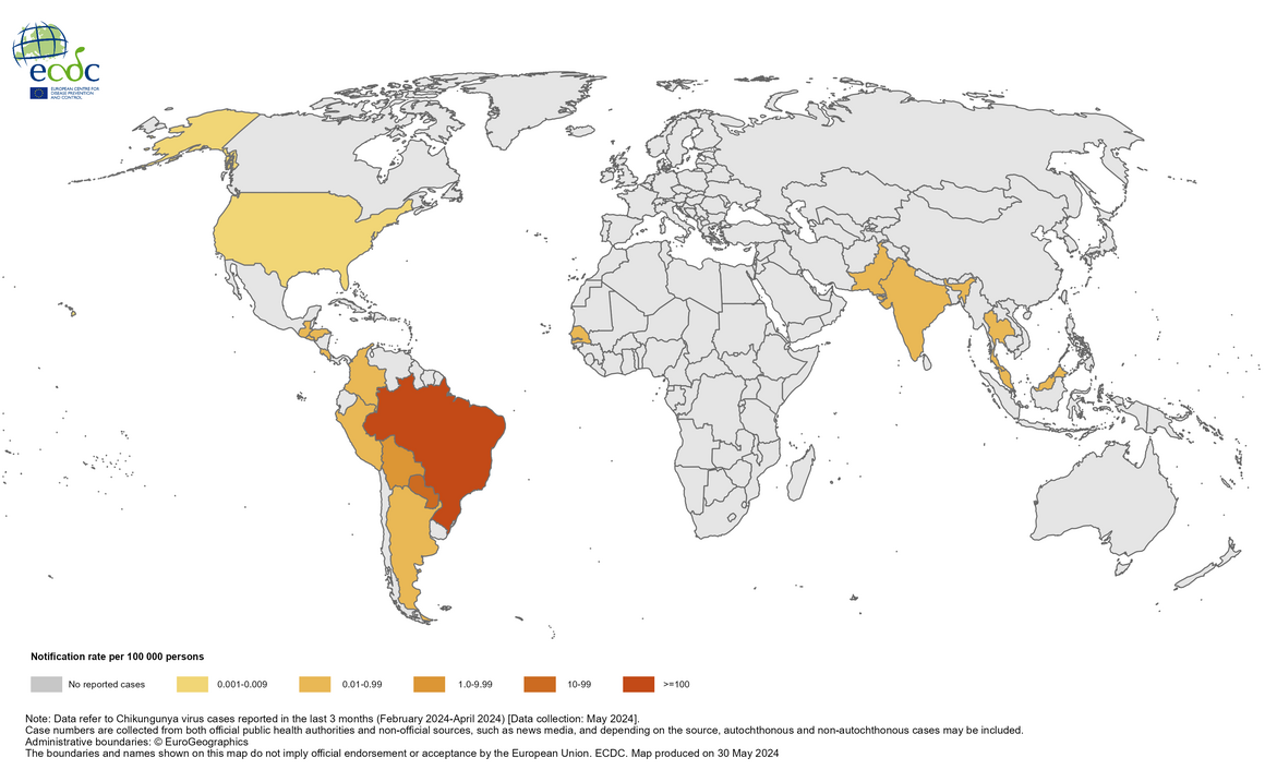 Chikungunya Welt 2024 Übersicht