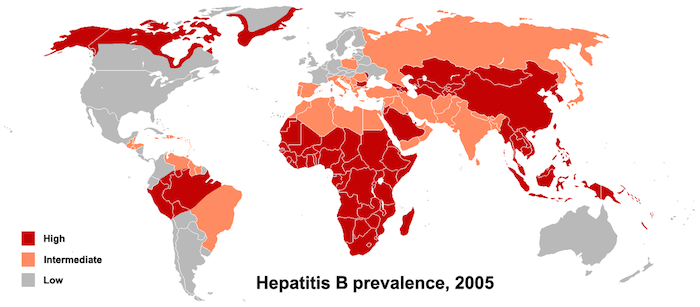 Hepatitis B Verbreitung