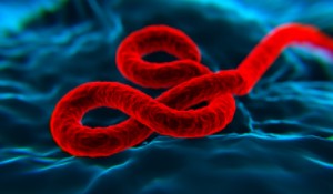 Ebola Fieber
