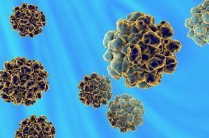 Hepatitis E